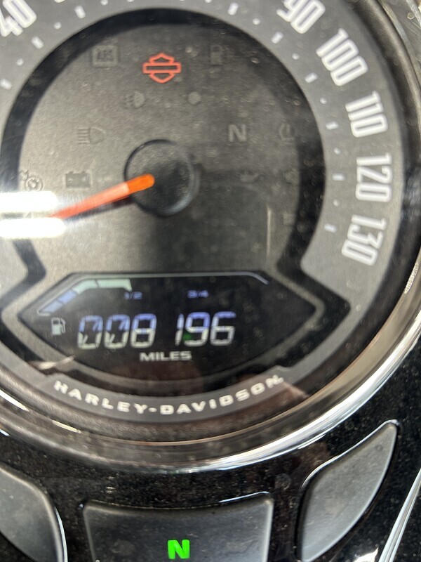 Harley-Davidson Softail Slim 2021 FLSL RVRCKGRDN/ BKDN - Photo 7