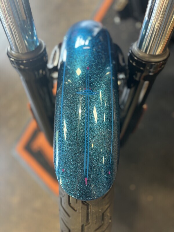 Harley-Davidson Street Bob 2025 FXBB VIVID BLACK - Photo 8