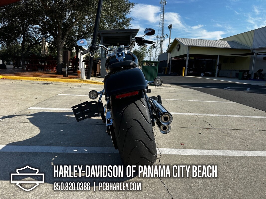 2025 Harley-Davidson Fat Boy - Photo 3