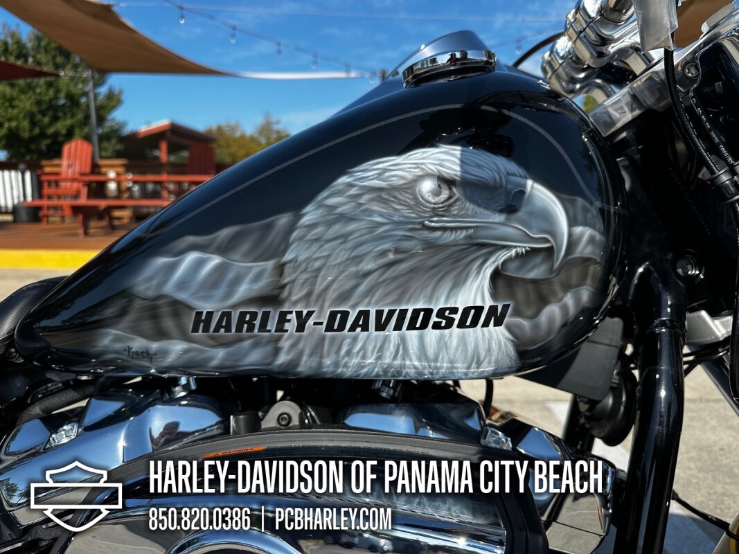 2025 Harley-Davidson Fat Boy - Photo 10