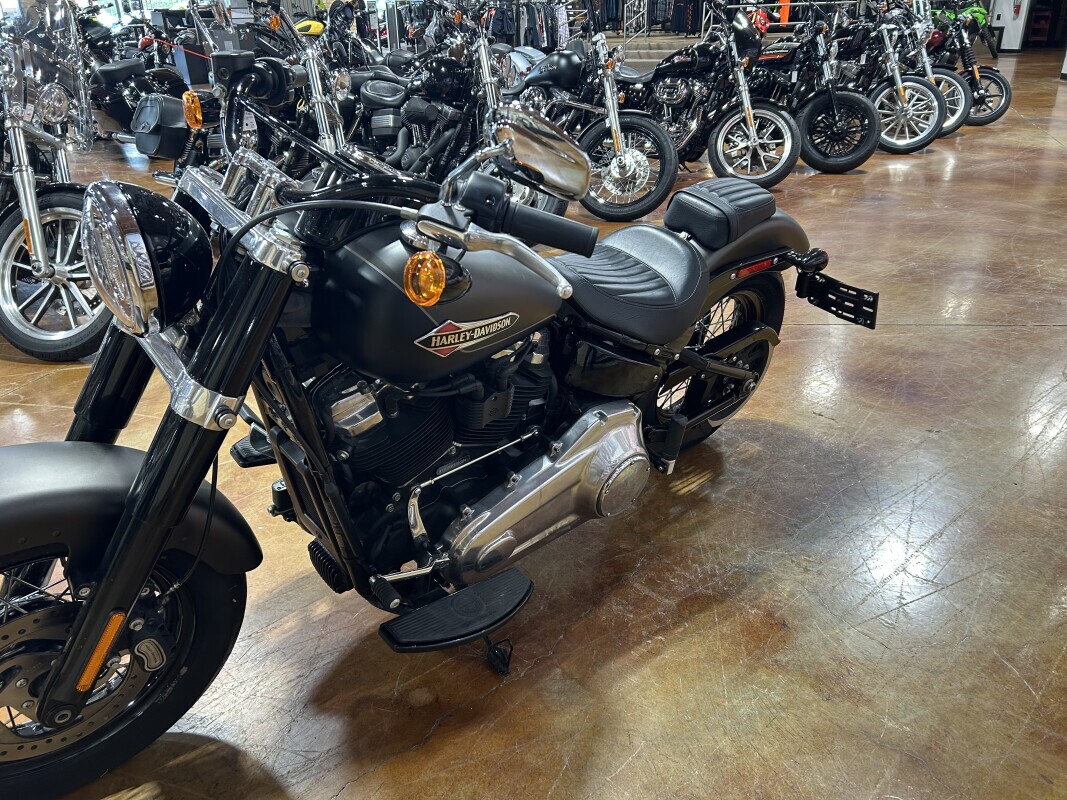 Harley-Davidson Softail Slim 2021 FLSL RVRCKGRDN/ BKDN - Photo 3