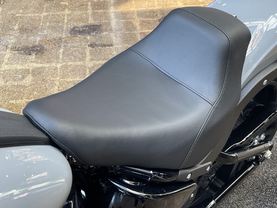 Harley-Davidson Low Rider S 2025 FXLRS BILLIARD GRAY - Photo 8