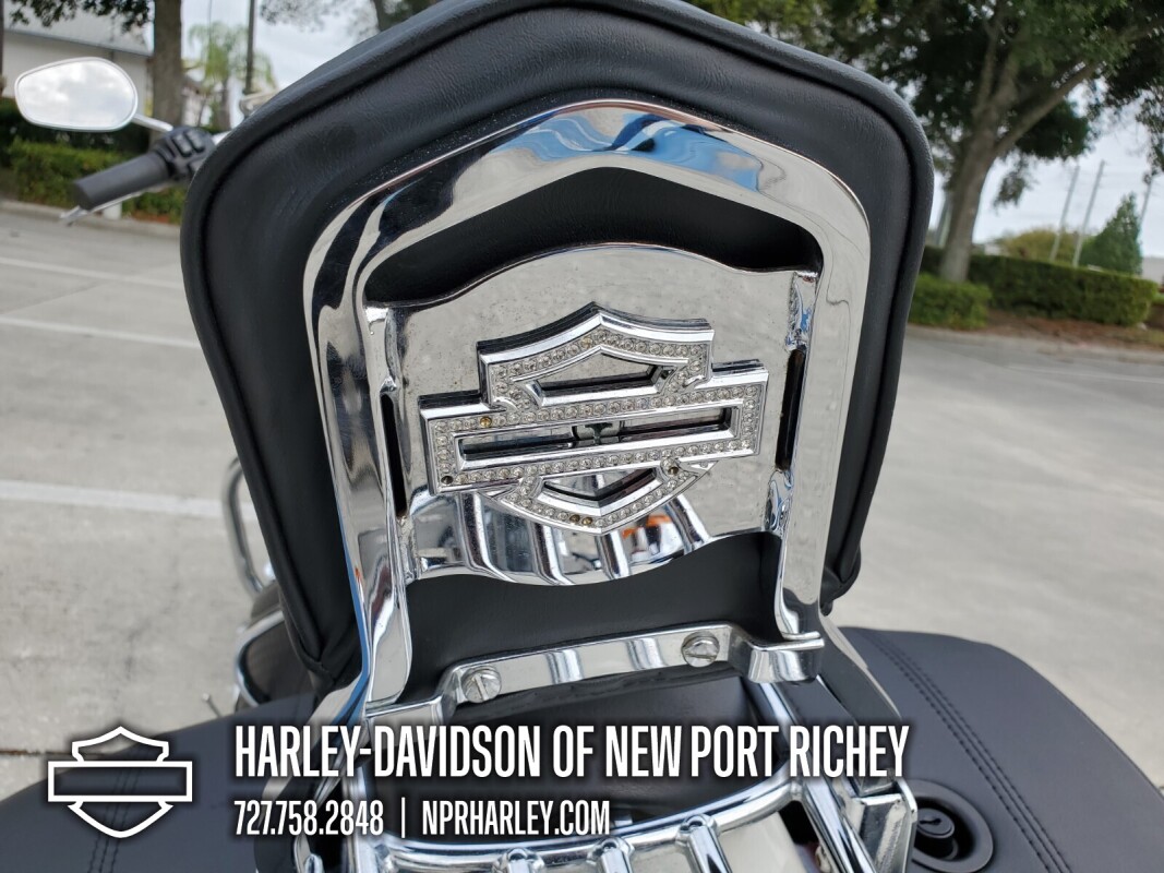2013 Harley-Davidson Softail Deluxe - Photo 10