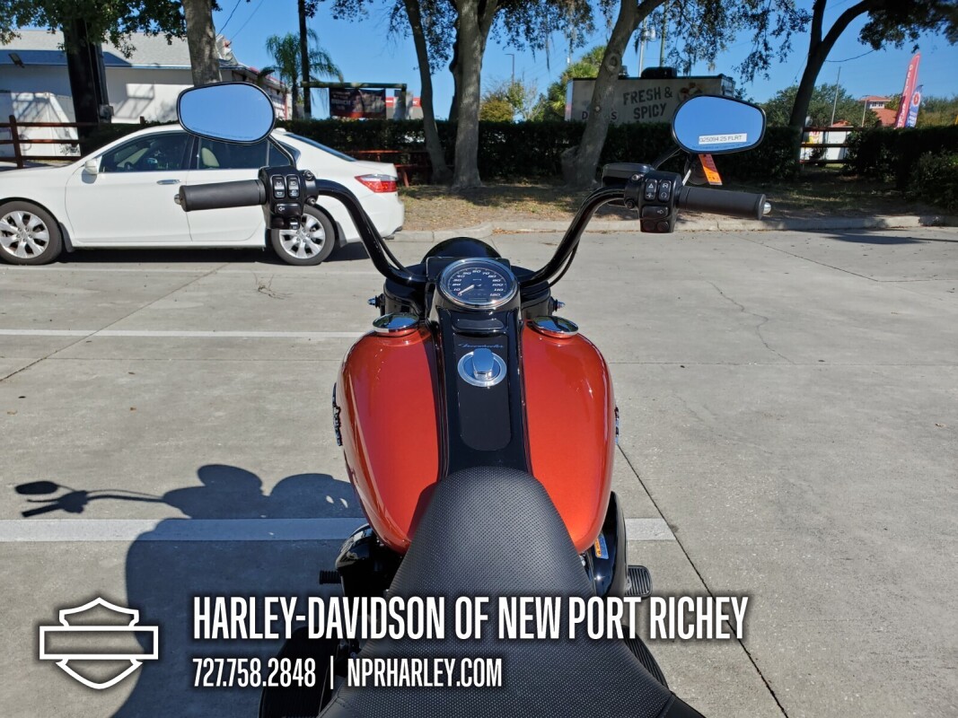 2025 Harley-Davidson Freewheeler - Photo 9