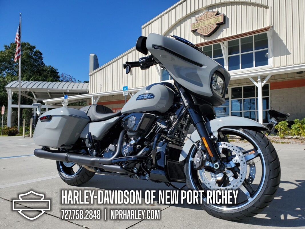 2025 Harley-Davidson Street Glide - Photo 3