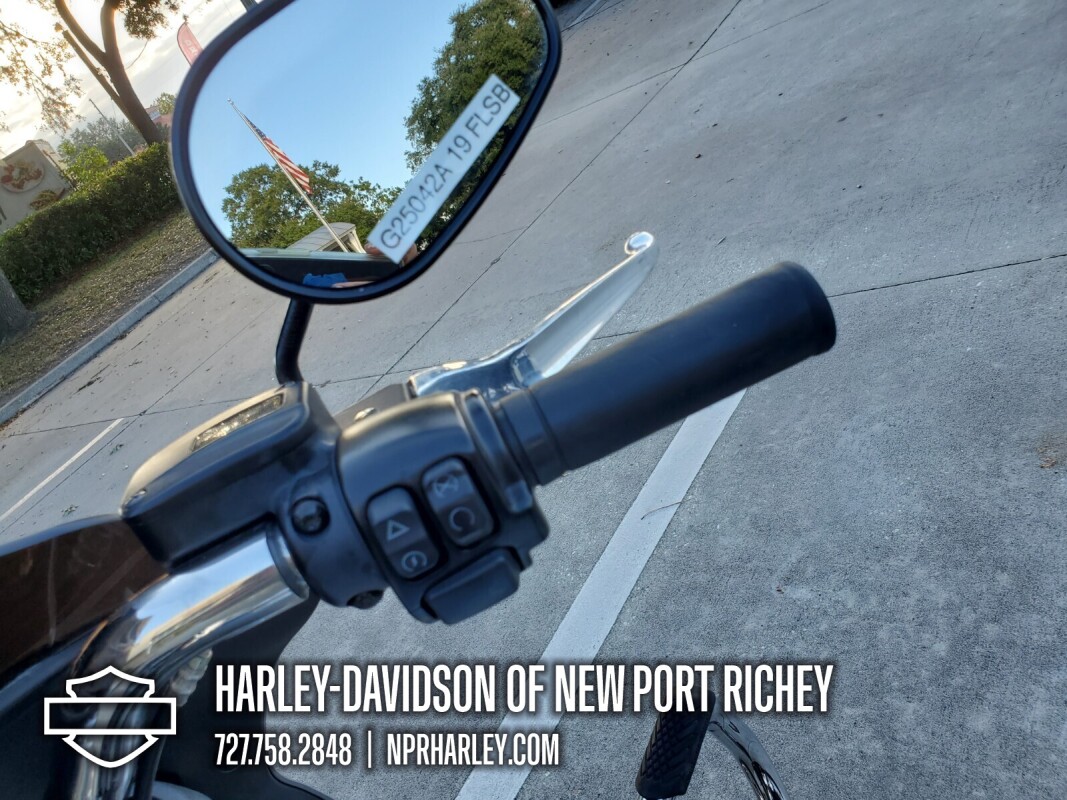 2019 Harley-Davidson Sport Glide - Photo 10