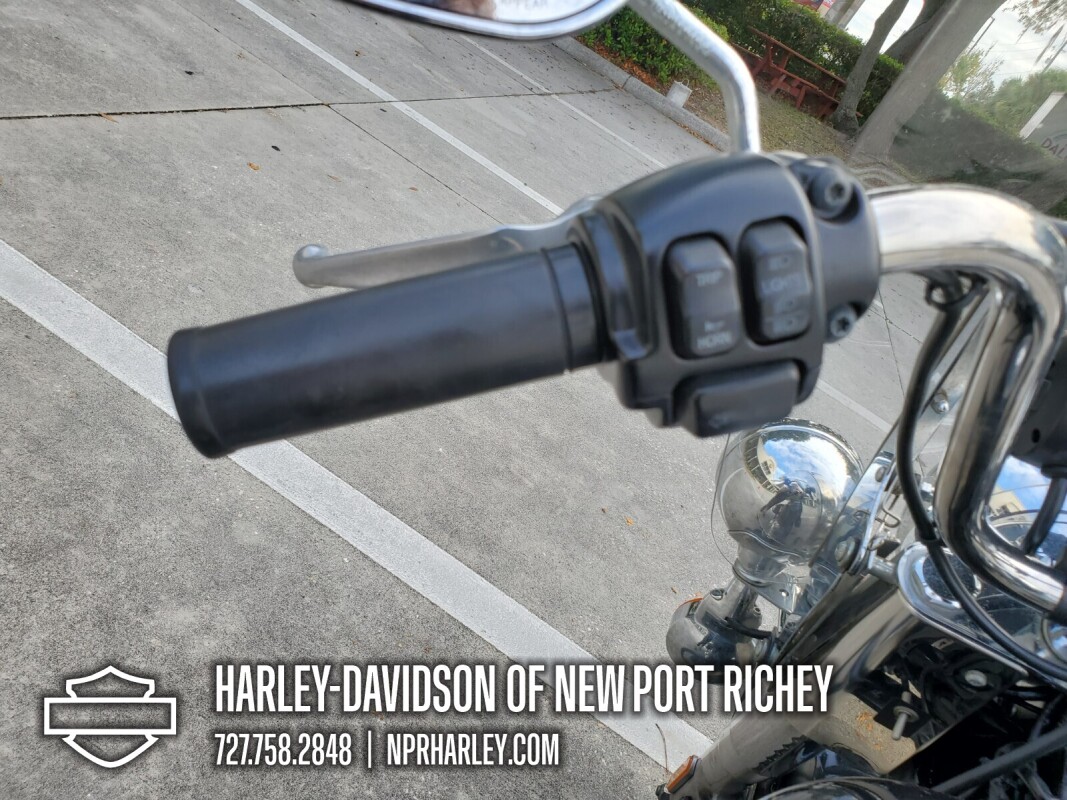 2014 Harley-Davidson Heritage Softail Classic - Photo 10