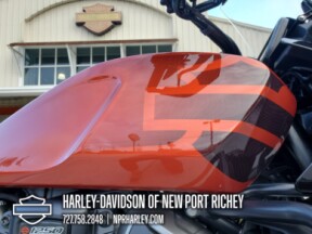 2025 Harley-Davidson® Pan America® 1250 Special thumb 2