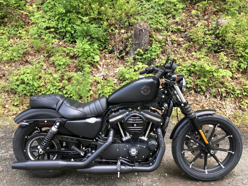 2022 Harley-Davidson® Iron 883™ Black Denim