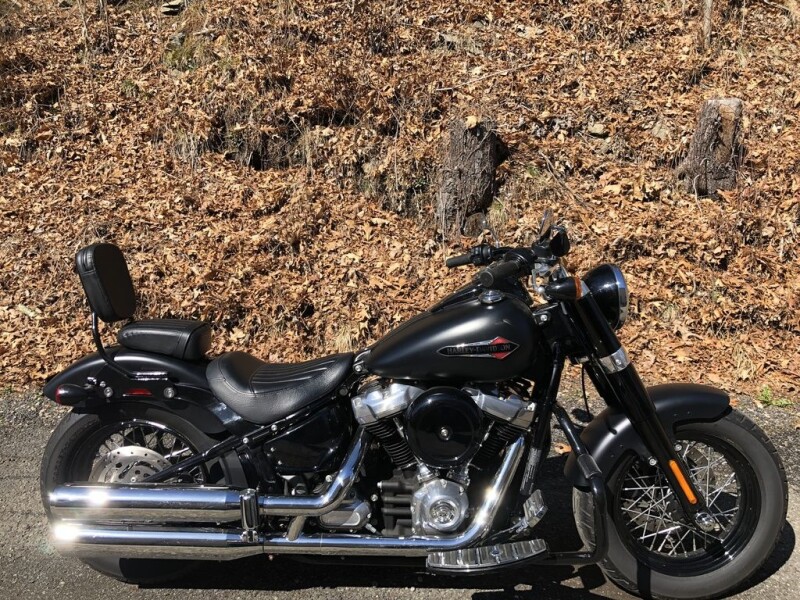 2019 Harley-Davidson® Softail Slim® Black Denim