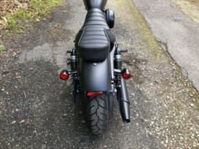 2022 Harley-Davidson® Iron 883™ Black Denim thumb 0