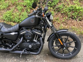2022 Harley-Davidson® Iron 883™ Black Denim thumb 2