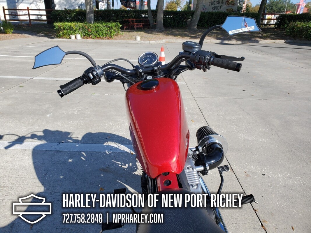 2013 Harley-Davidson Forty-Eight - Photo 8