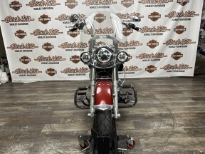 FLSTN 2009 Softail® Deluxe thumb 3