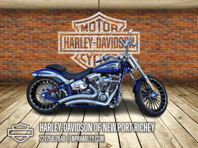 バーバリーブルーレーベル HURLEY ハーレー 車 趣味 BIKE 羊 セレブ