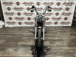 2007 Harley-Davidson Standard thumb 3