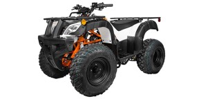 2025 Kayo Bull 150 EFI Black thumb 3
