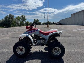 1987 Honda TRX250X thumb 1