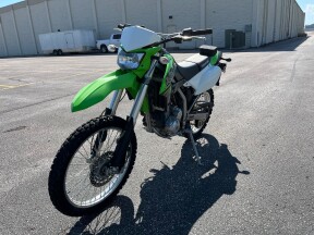 2019 Kawasaki KLX® 250 thumb 1
