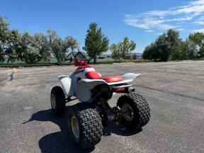 1987 Honda TRX250X thumb 0