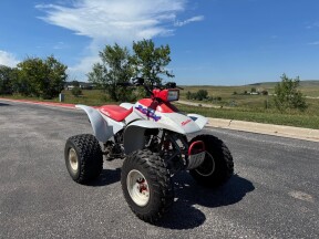 1987 Honda TRX250X thumb 3