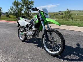 2019 Kawasaki KLX® 250 thumb 3