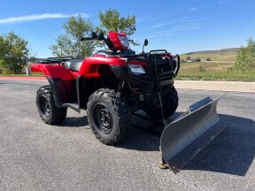 2015 Honda FourTrax Foreman® Rubicon 4x4 thumb 3