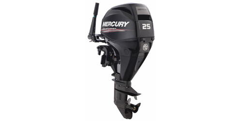 FourStroke 25HP EFI ELH thumbnail
