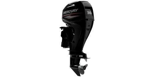 FourStroke 30HP EFI ELPT thumbnail