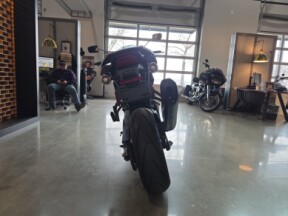 2025 Harley-Davidson® Pan America® 1250 ST RA1250ST thumb 0