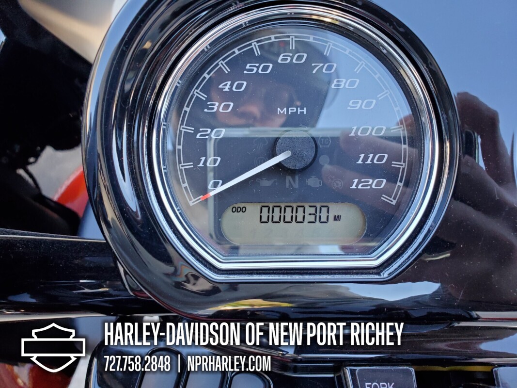 2025 Harley-Davidson® Road Glide™, photo 17