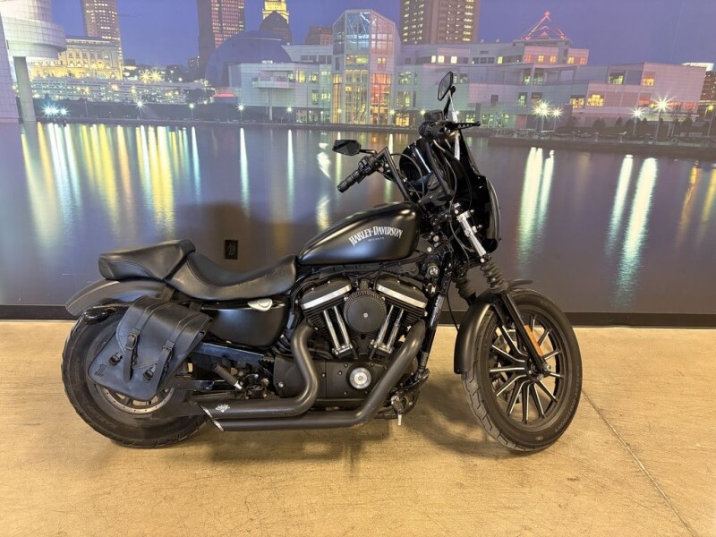 2015 Harley-Davidson® Iron 883™ XL 883N