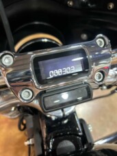 FXST 2024 Softail™ Standard thumb 1