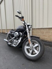 2016 Harley-Davidson® 1200 Custom XL1200C thumb 2