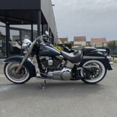 FLSTN 2016 Softail® Deluxe thumb 1