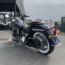 FLSTN 2016 Softail® Deluxe thumb 0