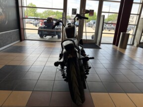 2017 Harley-Davidson® Roadster™ XL1200R thumb 1