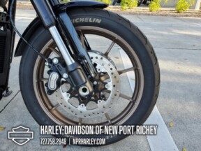 2024 Harley-Davidson® Low Rider® S thumb 2
