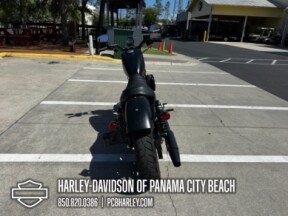 2022 Harley-Davidson® Iron 883™ thumb 2