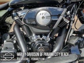 2026 Harley-Davidson® Street Glide® thumb 3