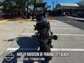 2021 Harley-Davidson® Pan America™ 1250 Special thumb 2