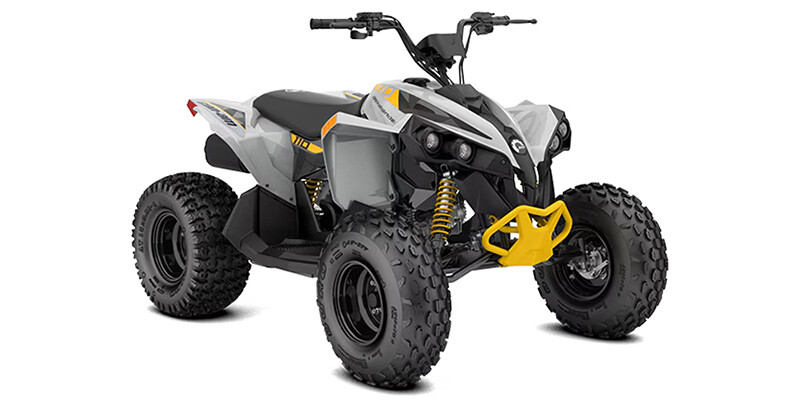 Renegade 110 EFI