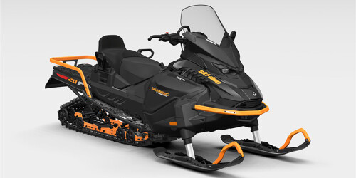 Skandic® LE 600 ACE 154 20 thumbnail