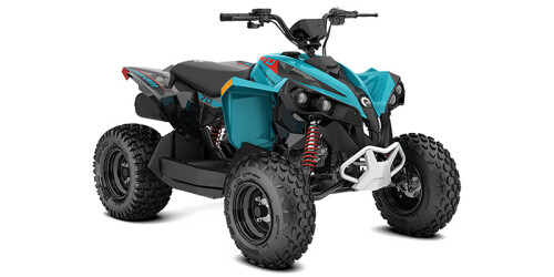 Renegade 70 EFI thumbnail