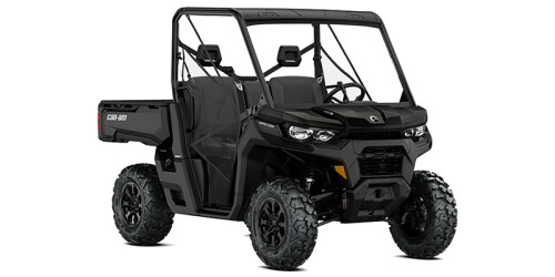 Defender DPS HD10 thumbnail