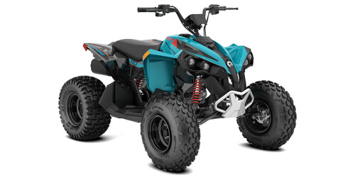 Renegade 110 EFI thumbnail