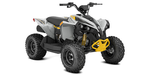 Renegade 70 EFI thumbnail
