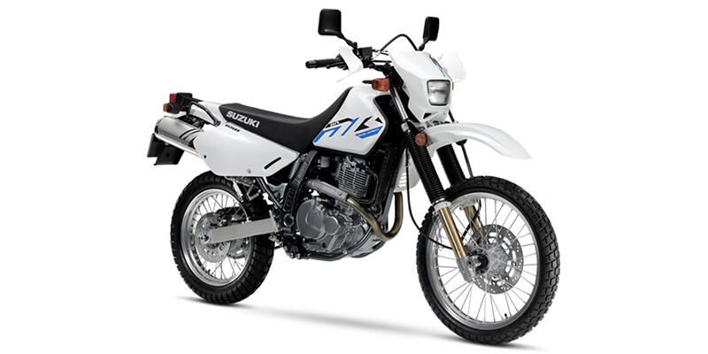 2025 DR650S