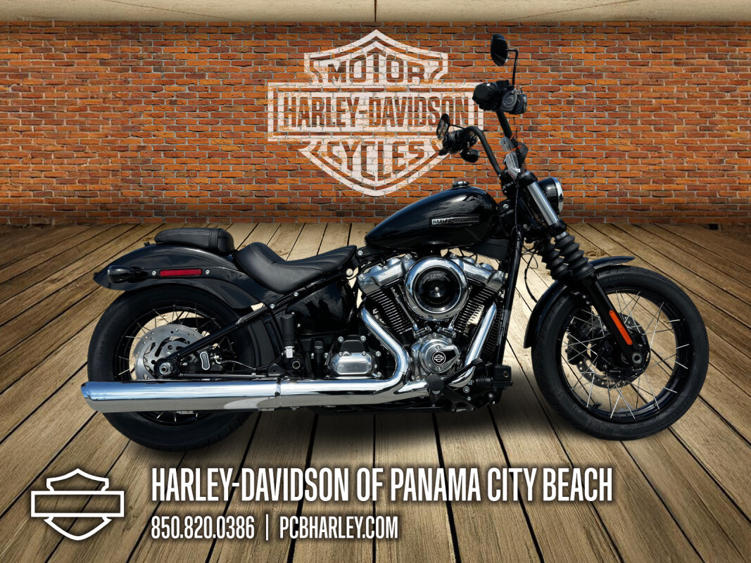 Street Bob® | Harley-Davidson® of New Port Richey
