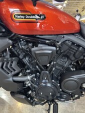 RH975S 2025 Nightster™ Special thumb 1